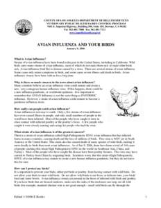 Microsoft Word - AVIAN INFLUENZA and your chickens LA County flyer.doc