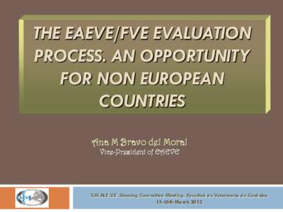 THE EAEVE/FVE EVALUATION PROCESS. AN OPPORTUNITY FOR NON EUROPEAN COUNTRIES Ana M Bravo del Moral Vice-President of EAEVE