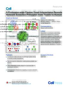 Resource  A Proteome-wide Fission Yeast Interactome Reveals Network Evolution Principles from Yeasts to Human Graphical Abstract