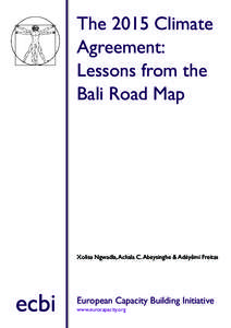 The 2015 Climate Agreement: Lessons from the Bali Road Map  Xolisa Ngwadla, Achala C. Abeysinghe & Adéyêmi Freitas