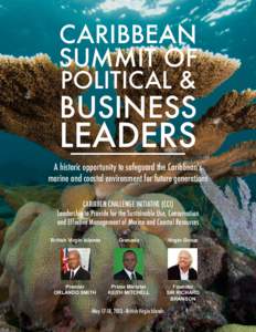 CARIBBEAN SUMMIT OF POLITICAL & BUSINESS