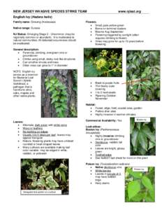 Invasive Plants Fact Sheet