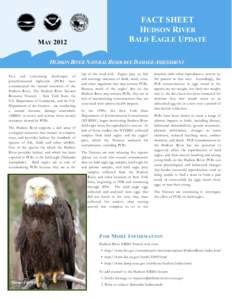MAY[removed]FACT SHEET HUDSON RIVER BALD EAGLE UPDATE