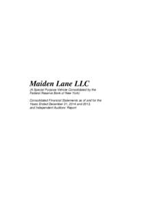 Maiden Lane LLC, financial statements