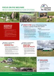 FOCUS ON PIG WELFARE IN OUTDOOR PRODUCTION SYSTEMS OUTDOOR PIG PRODUCTION IN DENMARK