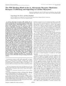 THE JOURNAL OF BIOLOGICAL CHEMISTRY © 2002 by The American Society for Biochemistry and Molecular Biology, Inc. Vol. 277, No. 37, Issue of September 13, pp[removed]–33790, 2002 Printed in U.S.A.