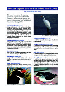 Rare and Vagrant Birds in the Falkland Islands 2008 Mike Morrison and Alan Henry This report summarises the sightings of rare and vagrant birds submitted to Falklands Conservation or made by the