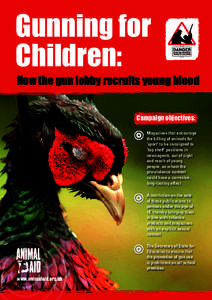 Gunning for Children: How the gun lobby recruits young blood Campaign objectives: Magazines that encourage