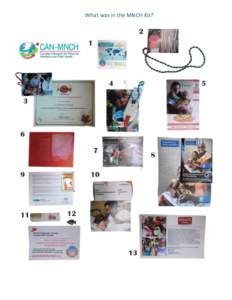 What was in the MNCH Kit?  1. Information about the Canadian Network for Maternal Newborn and Child Health www.can-mnch.ca 2. Beads from Save the Children: Community Health Workers use the beads to determine if a child 