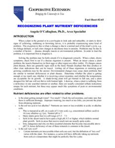 Recognizing Plant Nutrient Deficiencies