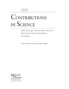 NUMBER[removed]JUNE 2005 CONTRIBUTIONS IN SCIENCE NEW GOATLIKE CAMELID