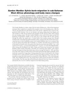 Ibis (2005), 147, 750–757  Garden Warbler Sylvia borin migration in sub-Saharan West Africa: phenology and body mass changes  Blackwell Publishing, Ltd.
