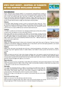 HWC FACT SHEET – CONTROL OF RABBITS AT THE HUNTER WETLANDS CENTRE Introduction Hunter Wetlands Centre Australia (HWC) is an internationally recognised Ramsar wetland. In order to protect our fauna and flora we have a p