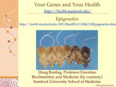 Your Genes and Your Health http://bio84.stanford.edu/ Epigenetics  http://bio84.stanford.edu/08%20miRNA%20&%20Epigenetics.htm