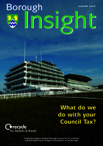 Borough  Spring 2009 Issue 42 Insight