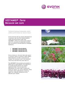 VESTAMID® Terra Because we care Technical biobased polyamides which achieve performance by natural means Evonik Industries AG has recently developed and is pushing a new line of bio-based polymers