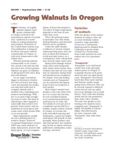 Growing Walnuts in Oregon, EM[removed]Oregon State University Extension Service)