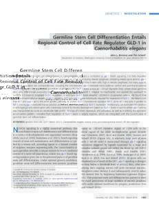 | INVESTIGATION  Germline Stem Cell Differentiation Entails Regional Control of Cell Fate Regulator GLD-1 in Caenorhabditis elegans John L. Brenner and Tim Schedl1