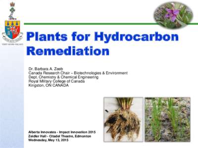 Plants for Hydrocarbon Remediation Dr. Barbara A. Zeeb Canada Research Chair – Biotechnologies & Environment Dept. Chemistry & Chemical Engineering Royal Military College of Canada