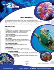 Aquarium Marketing Press Kit Letterhead_FNL_hyperlinks