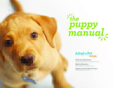 Written by Jennifer Warner Adopt-a-Pet.com Director of Shelter Outreach Edited by Abbie Moore Adopt-a-Pet.com Executive Director Chapter 14 written by Katya Freedman CASI Certified Dog Trainer