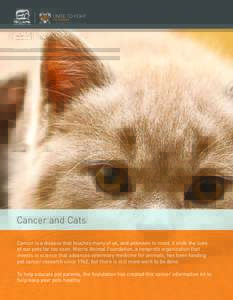 Cancer and Cats Cancer is a disease that touches many of us, and unknown to most, it ends the lives of our pets far too soon. Morris Animal Foundation, a nonprofit organization that invests in science that advances veter