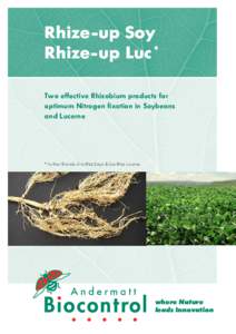 Rhize-up Soy  Rhize-up Luc * Two effective Rhizobium products for optimum Nitrogen fixation in Soybeans and Lucerne