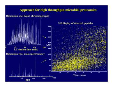 Approach for high throughput microbial proteomics Dimension one: liqiud chromatography Capillary LC-FTICR 2-D display of peptides from a yeast soluble protein digest 2-D display of detected peptides