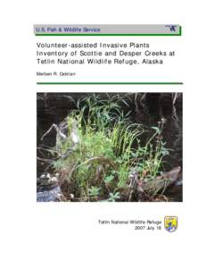 Volunteer-Assisted Invasive Plants Inventory of Scottie and Desper Creeks at Tetlin National Wildlife Refuge, Alaska