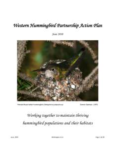 Microsoft Word - Western Hummingbird Partnership Action Plan - June 2010