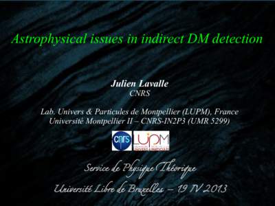Astrophysical issues in indirect DM detection Julien Lavalle CNRS Lab. Univers & Particules de Montpellier (LUPM), France Université Montpellier II – CNRS-IN2P3 (UMR 5299)