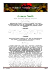 Coelogyne flaccida Sectie : Epidendroideae, Ondersectie : Coelogyninae Naamverklaring : De geslachtsnaam Coelogyne is afgeleid van het Griekse koilos=holte en gyne(guné)=vrouw. De stempel, het vrouwelijk orgaan van de p