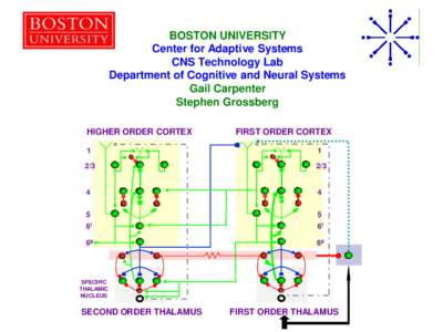 BOSTON UNIVERSITY Center for Adaptive Systems CNS Technology Lab Department of Cognitive and Neural Systems Gail Carpenter Stephen Grossberg