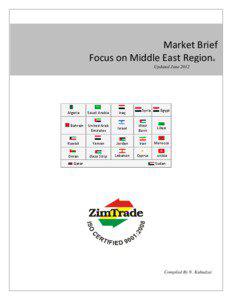 Market Brief Focus on Middle East Region ©