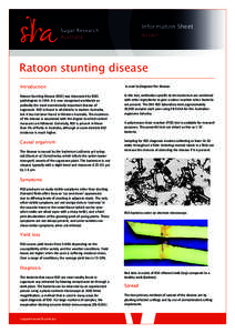 Information Sheet IS13007 Ratoon stunting disease Introduction