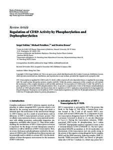Regulation of CDK9 Activity by Phosphorylation and Dephosphorylation