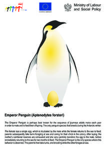Emperor Penguin (Aptenodytes forsteri) The Emperor Penguin is perhaps best known for the sequence of journeys adults make each year in order to mate and to feed their offspring. The only penguin species that breeds durin