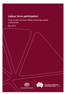 Labour force participation Youth at risk and lower skilled mature-age people: a data profile May[removed]Australian Workforce and Productivity Agency | Labour force participation—a data profile