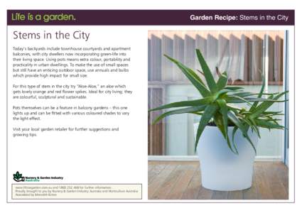 Garden Recipe: Stems in the City  Stems in the City Today’s backyards include townhouse courtyards and apartment balconies, with city dwellers now incorporating green-life into their living space. Using pots means extr