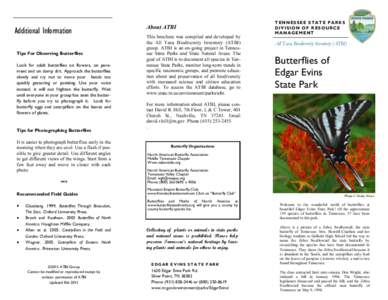 Additional Information Tips For Observing Butterflies Look for adult butterflies on flowers, on pavement and on damp dirt. Approach the butterflies slowly and try not to move your hands too quickly gesturing or pointing.
