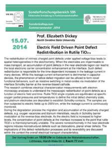 Sonderforschungsbereich 595 Elektrische Ermüdung in Funktionswerkstoffen Sonderkolloquium Sommersemester 2014