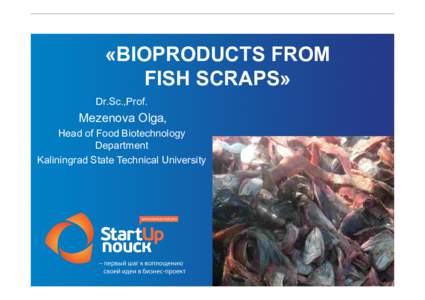 «BIOPRODUCTS FROM FISH SCRAPS» Dr.Sc.,Prof. Mezenova Olga, Head of Food Biotechnology
