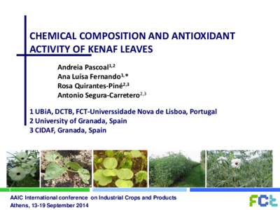 CHEMICAL COMPOSITION AND ANTIOXIDANT ACTIVITY OF KENAF LEAVES Andreia Pascoal1,2 Ana Luísa Fernando1,* Rosa Quirantes-Piné2,3 Antonio Segura-Carretero2,3