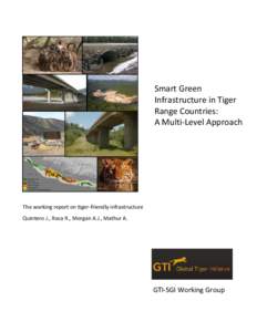 Smart Green Infrastructure in Tiger Range Countries: A Multi-Level Approach  The working report on tiger-friendly infrastructure