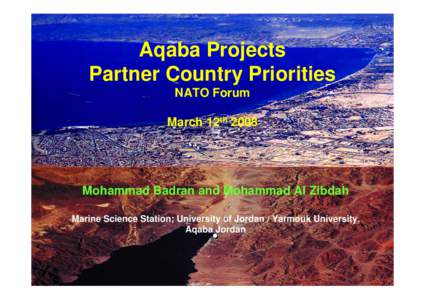 Aqaba Projects Partner Country Priorities NATO Forum  March 12th 2008