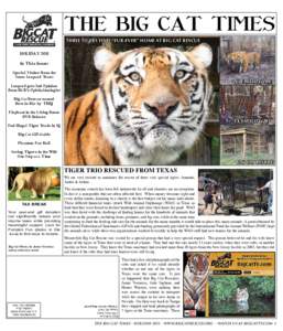 THE BIG CAT TIMES THREE TIGERS FIND “FUR-EVER” HOME AT BIG CAT RESCUE HOLIDAY 2011 In This Issue: Special Visitor from the Snow Leopard Trust
