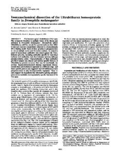 Proc. Nati. Acad. Sci. USA Vol. 88, pp[removed], November 1991 Developmental Biology Immunochemical dissection of the Ultrabithorax homeoprotein family in Drosophila melanogaster