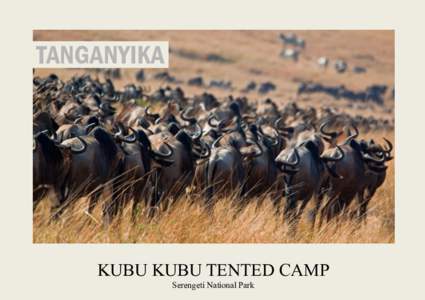TANGANYIKA  KUBU KUBU TENTED CAMP Serengeti National Park  WILDERNESS