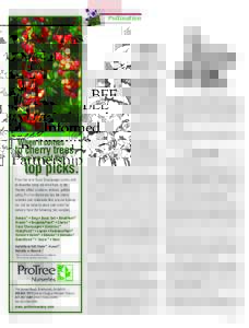 Pollination  BEE Informed Partnership Coordinated BIP effort aims