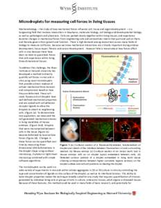    Microdroplets	
  for	
  measuring	
  cell	
  forces	
  in	
  living	
  tissues	
     Mechanobiology	
  –	
  the	
  study	
  of	
  how	
  mechanical	
  forces	
  influence	
  cell,	
  tissue	
  a